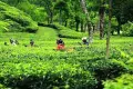 Dhaka tour image
