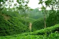 Dhaka tour image